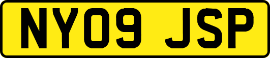 NY09JSP