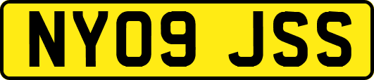 NY09JSS