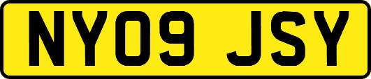 NY09JSY
