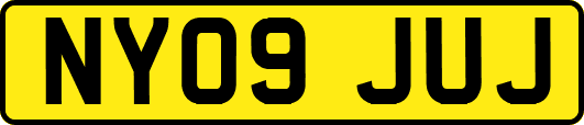 NY09JUJ