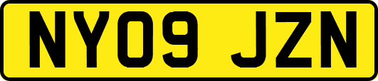 NY09JZN