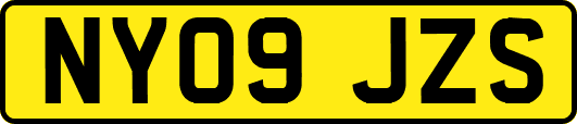 NY09JZS