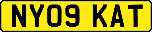 NY09KAT