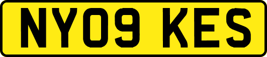 NY09KES