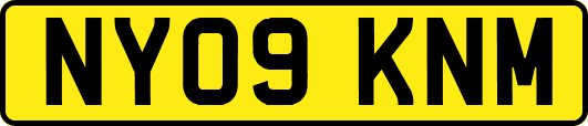 NY09KNM