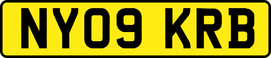 NY09KRB