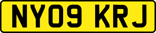 NY09KRJ