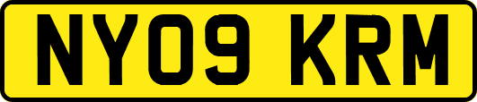 NY09KRM