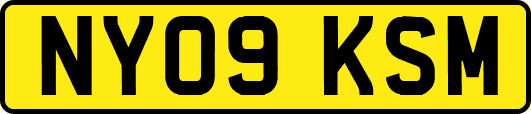 NY09KSM