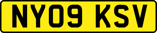 NY09KSV