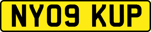 NY09KUP