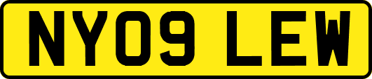 NY09LEW