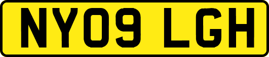 NY09LGH
