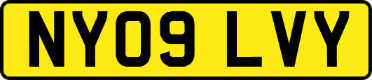 NY09LVY
