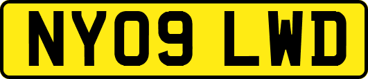 NY09LWD