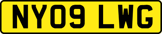 NY09LWG