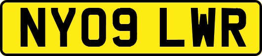 NY09LWR