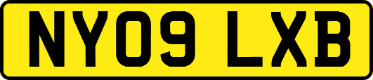 NY09LXB