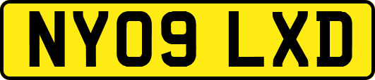 NY09LXD