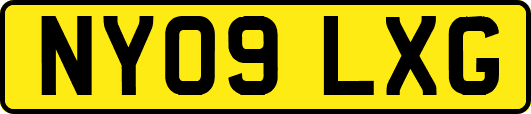 NY09LXG