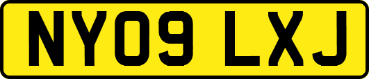NY09LXJ