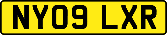 NY09LXR