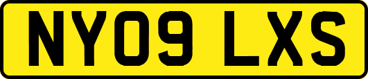 NY09LXS