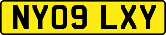 NY09LXY