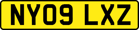 NY09LXZ