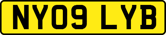 NY09LYB