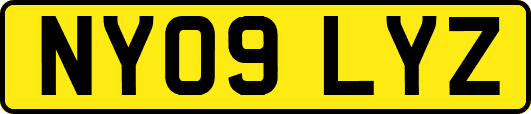 NY09LYZ