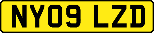 NY09LZD
