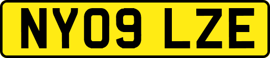 NY09LZE