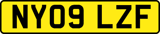 NY09LZF
