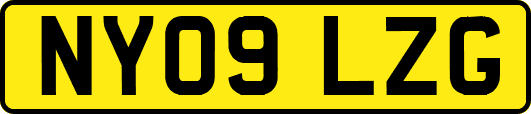 NY09LZG