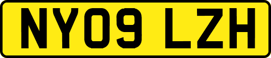 NY09LZH