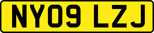 NY09LZJ