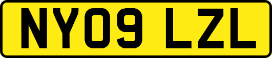 NY09LZL