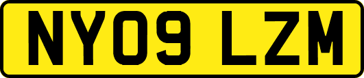 NY09LZM