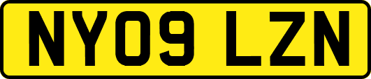 NY09LZN