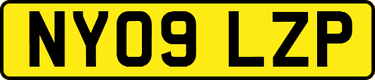 NY09LZP