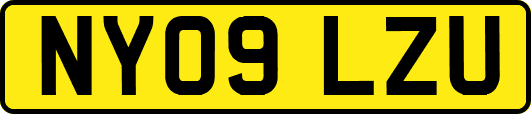 NY09LZU