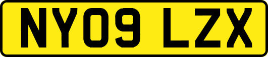 NY09LZX
