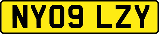 NY09LZY