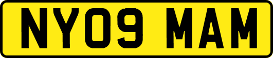 NY09MAM