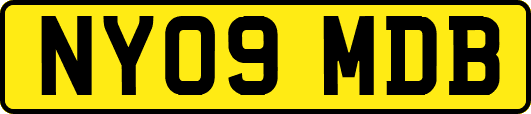 NY09MDB