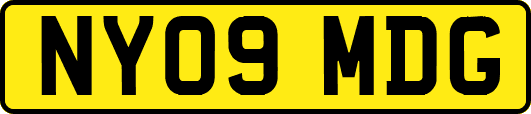NY09MDG