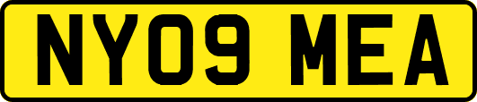 NY09MEA