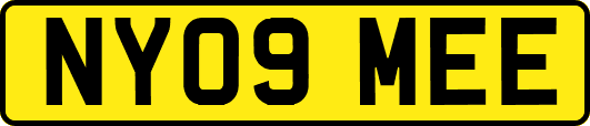 NY09MEE