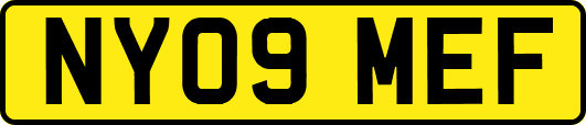 NY09MEF